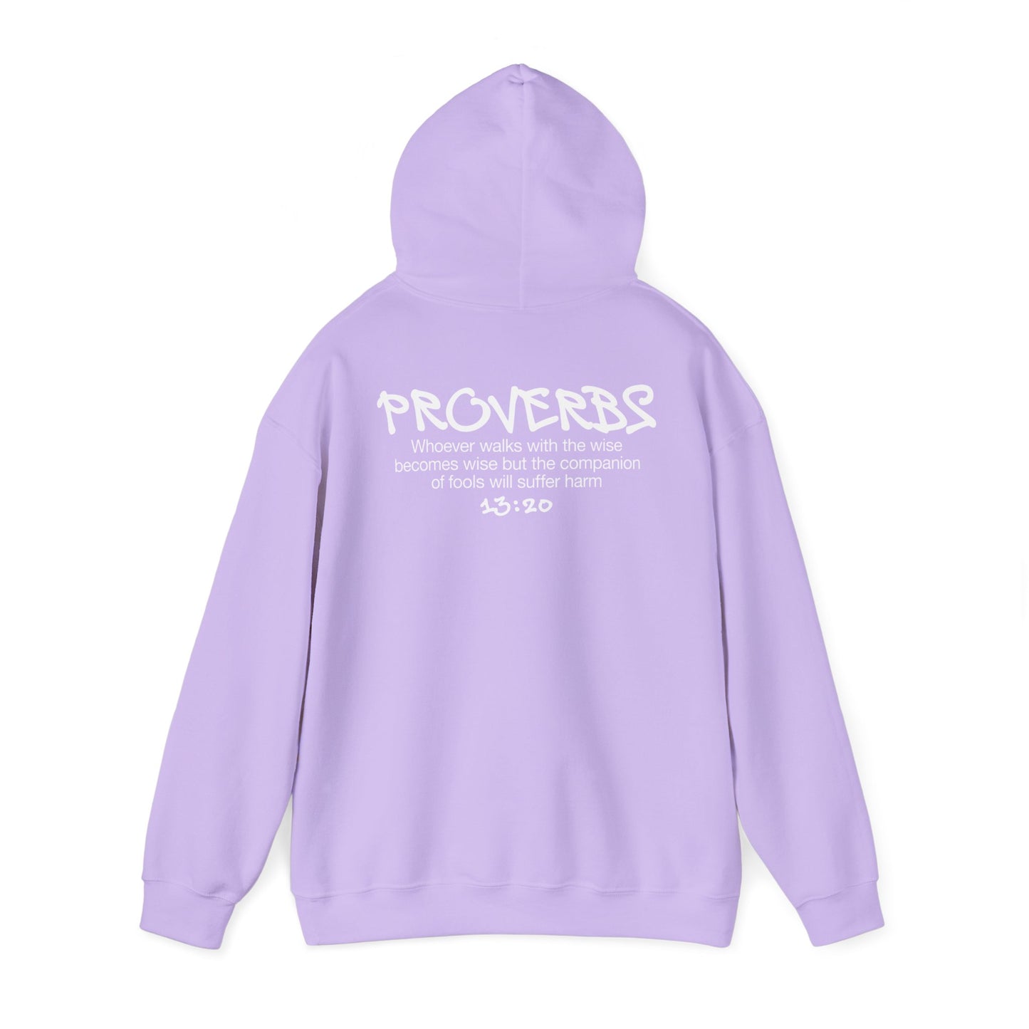 Urban Proverbs 13:20 Hoodie